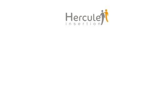 Hercule Insertion II
