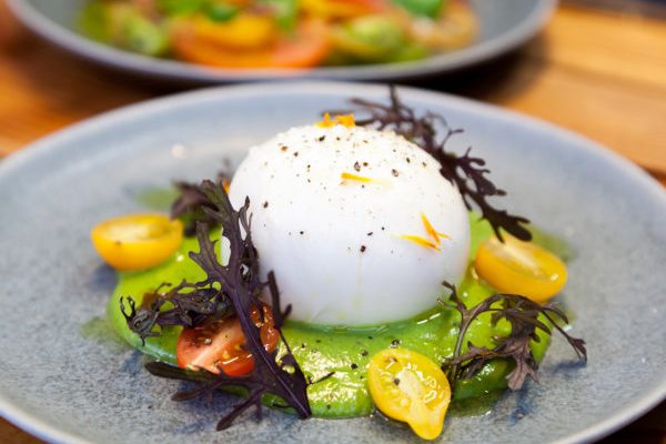 burrata